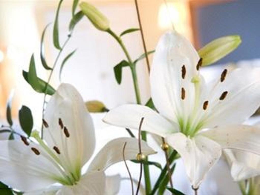 Malin Court Hotel And Restaurant Ayr Pokoj fotografie